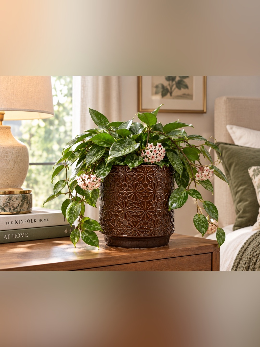 Brown Ceramic Planter with Drainage Hole, Geometric Starburst Pattern Indoor